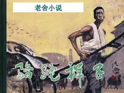 红杏影院 永久入口